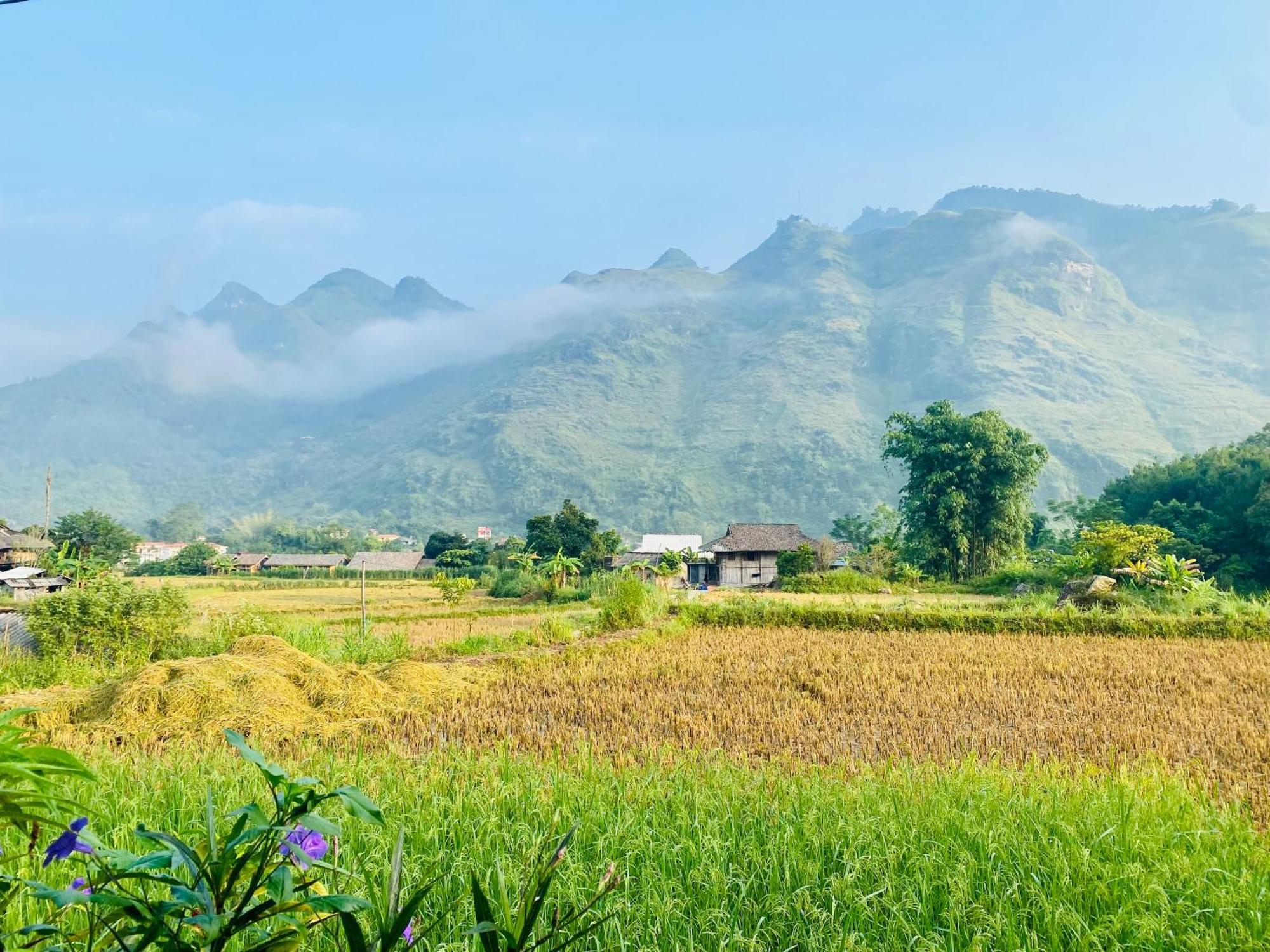 Du Gia Field View Homestay Làng Cac Exteriör bild