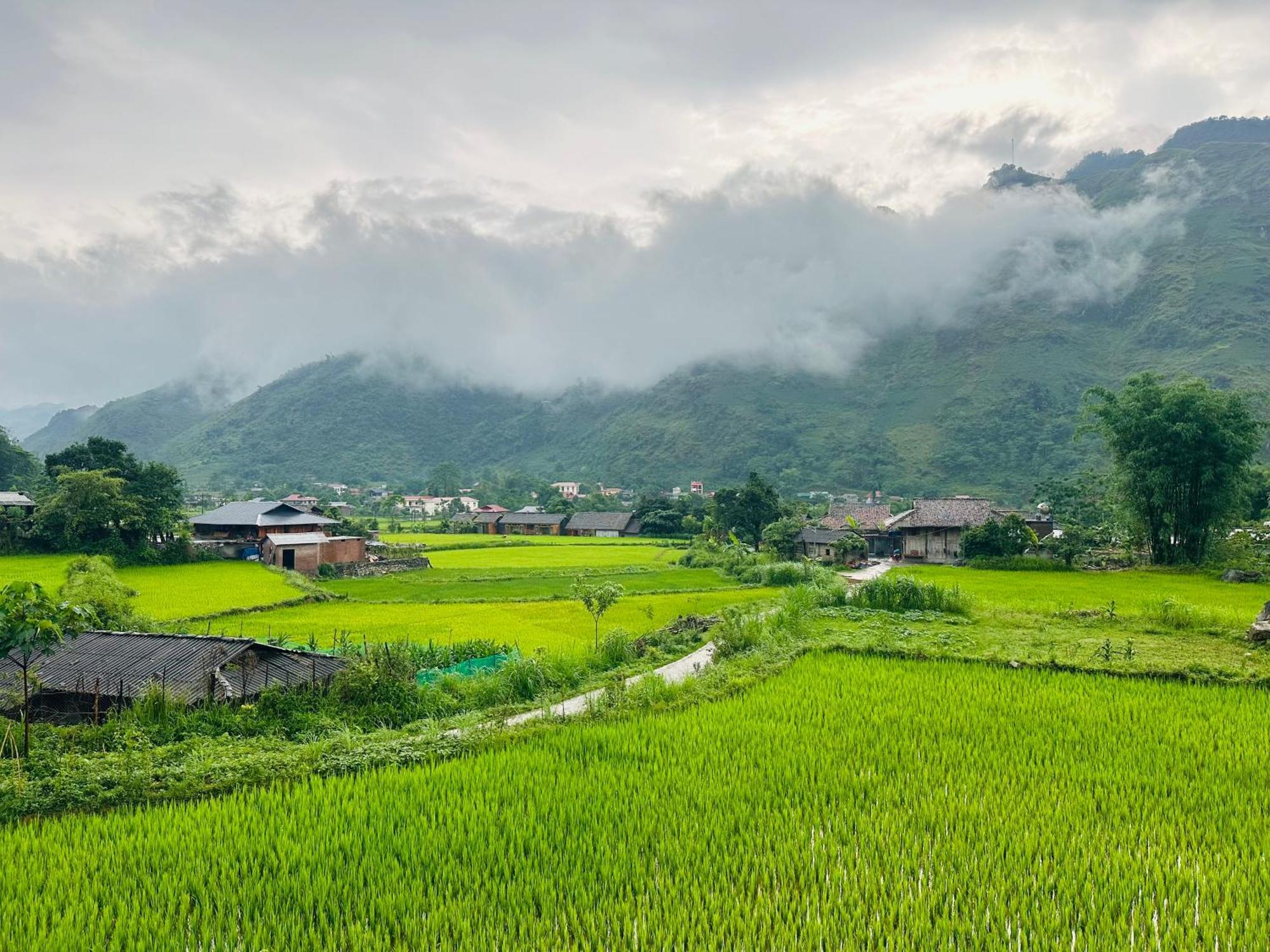 Du Gia Field View Homestay Làng Cac Exteriör bild