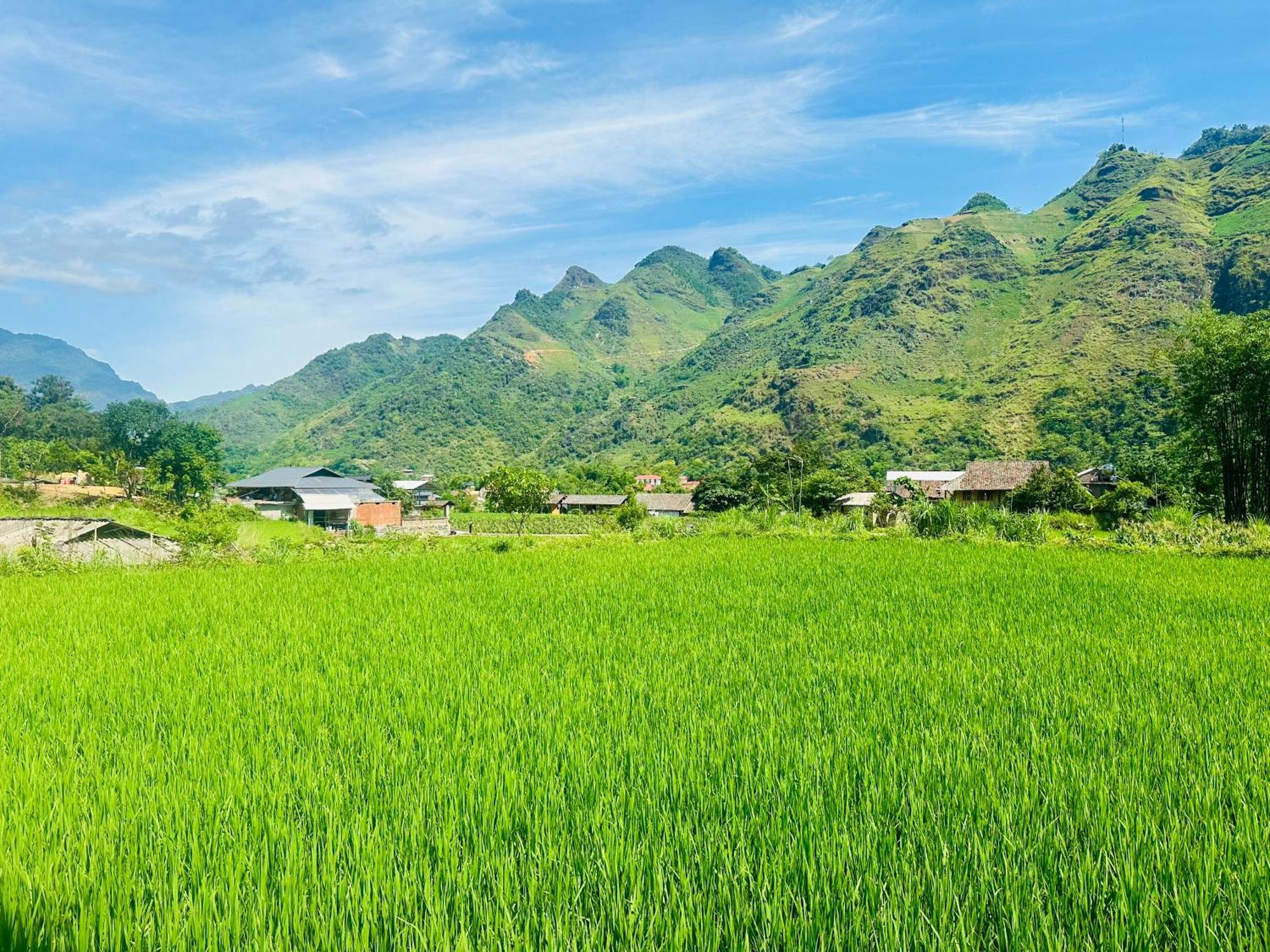 Du Gia Field View Homestay Làng Cac Exteriör bild